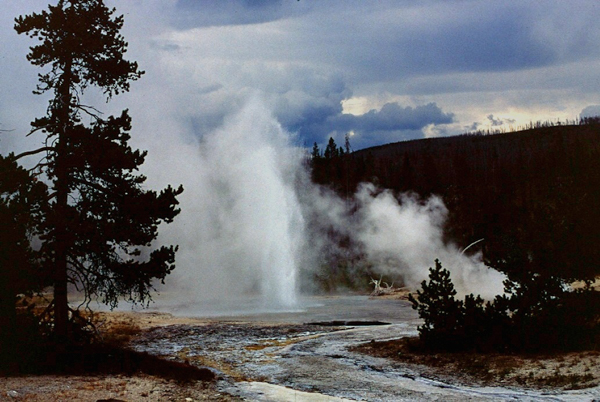 20000801   Yellowstone 045